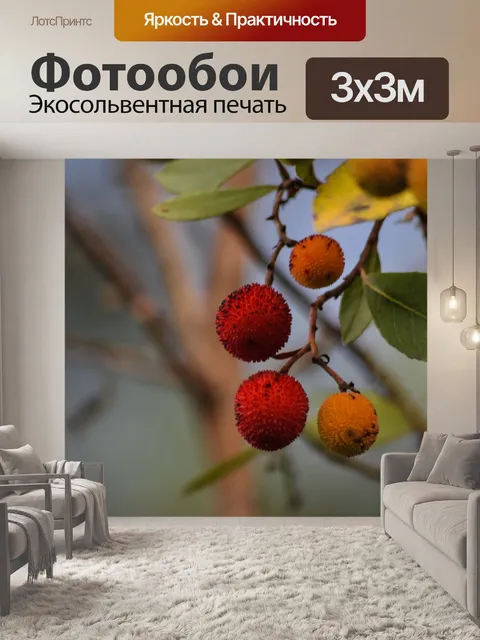 Фотообои Клубника