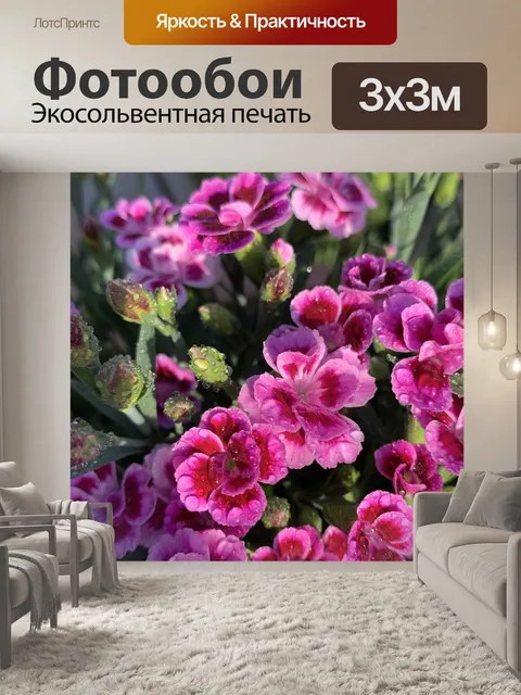 Фотообои Цветы