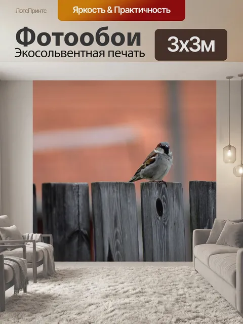 Фотообои Птица