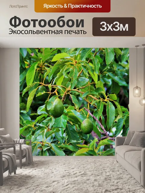 Фотообои Авокадо фрукты на дереве