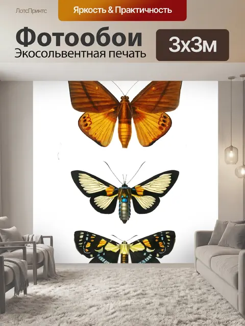 Фотообои Клипарт бабочка винтажное искусство
