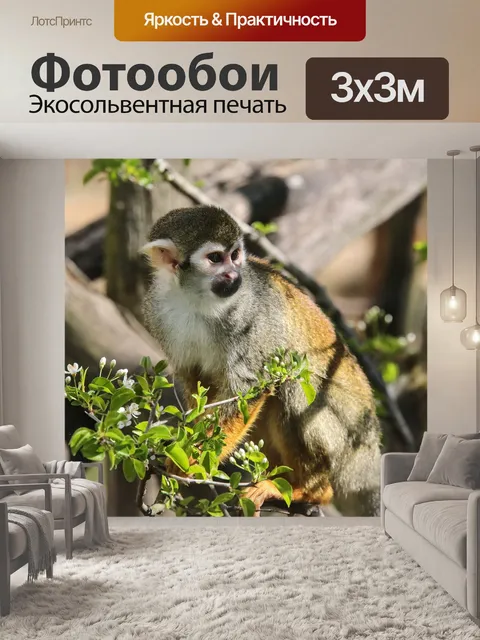 Фотообои Животные