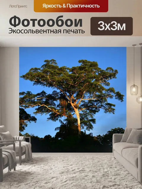Фотообои Природа
