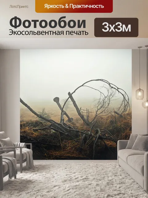 Фотообои Туман