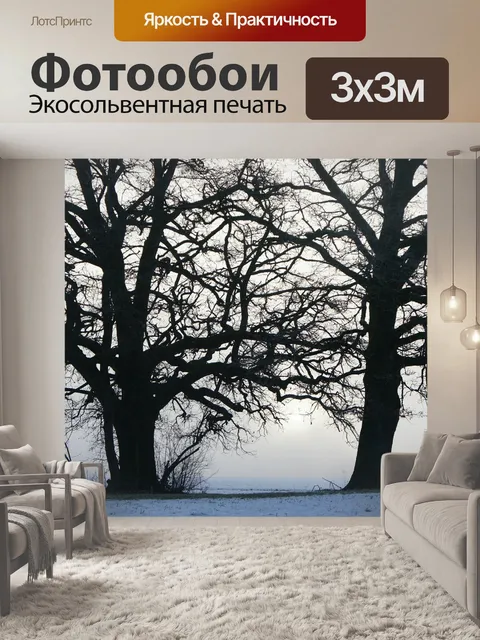 Фотообои Деревья