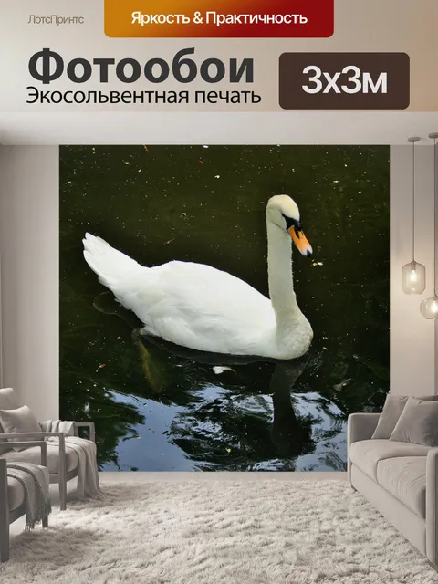 Фотообои лебедь на пруду