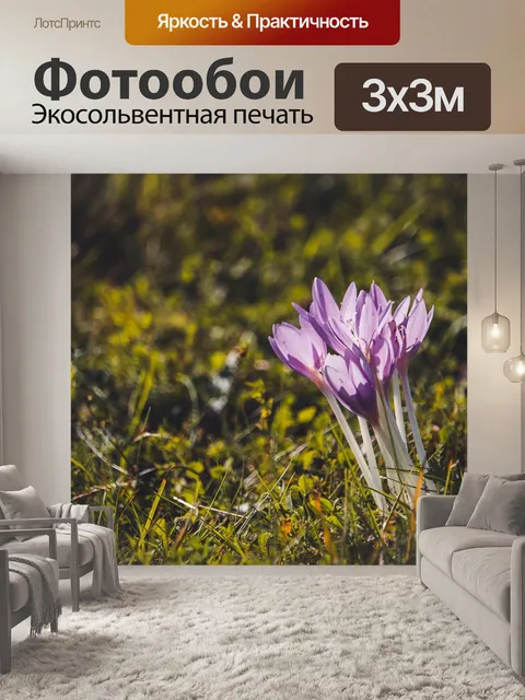 Фотообои Цветы