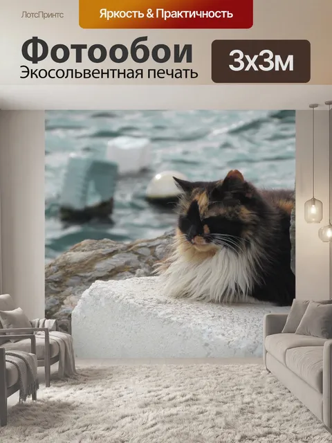 Фотообои Кошка