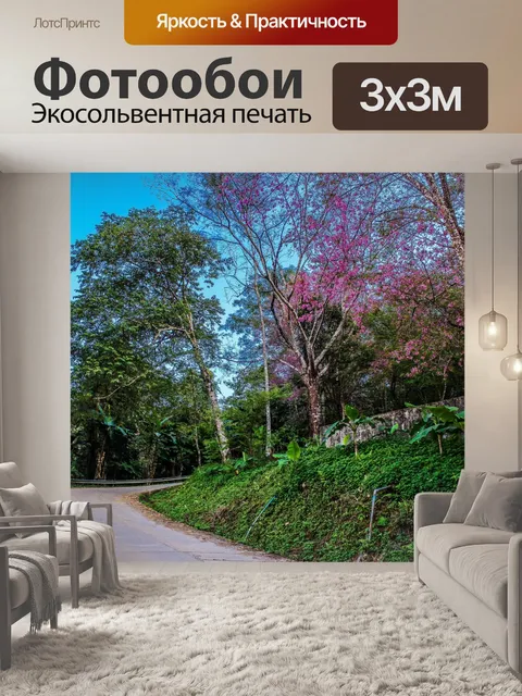 Фотообои Дикая гималайская вишня, Чианг Рай,