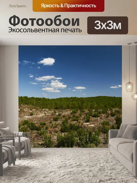 Фотообои Лес