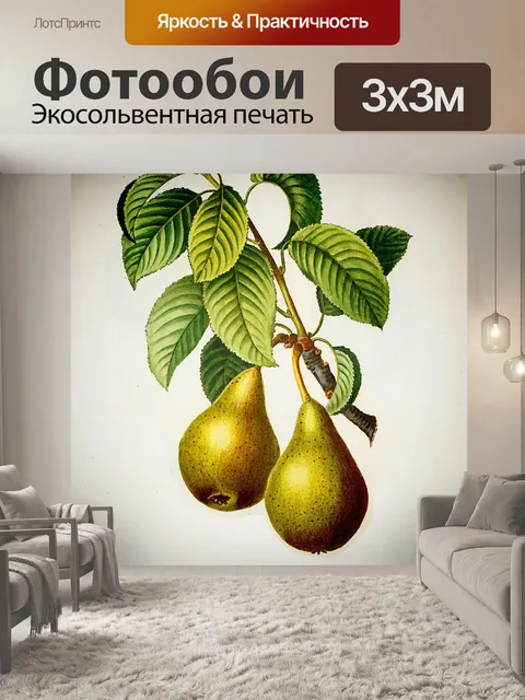 Фотообои Груши