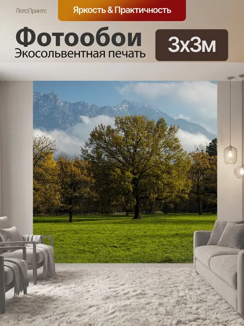 Фотообои Деревья