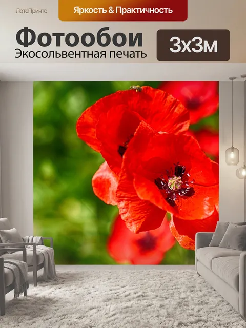Фотообои Пара маки