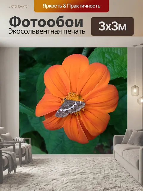 Фотообои Цветок