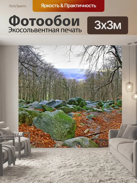 Фотообои Лес