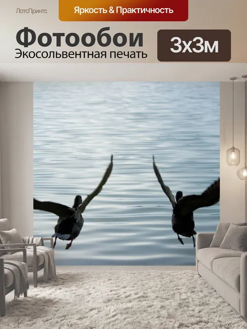 Фотообои Утки