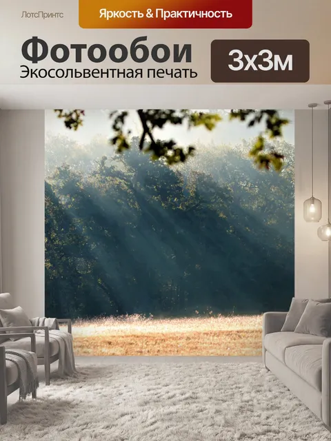 Фотообои Солнечные лучи сквозь лес