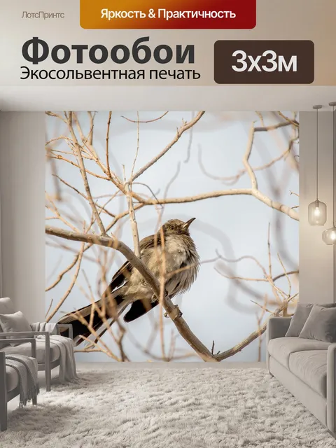 Фотообои Природа