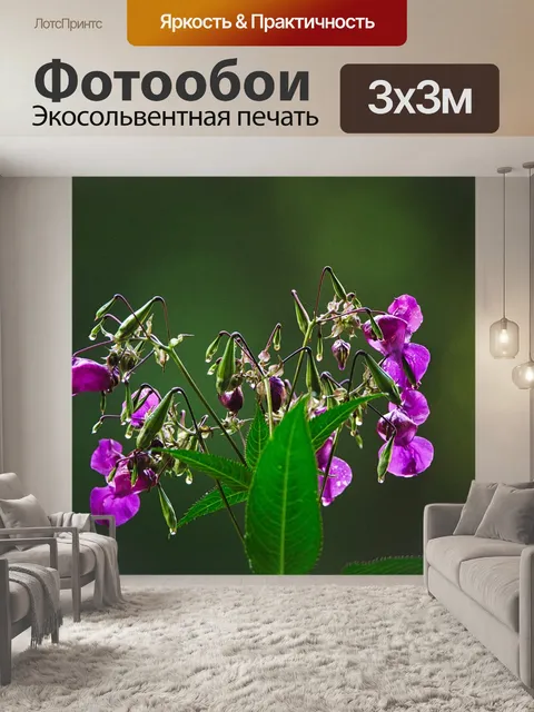 Фотообои Растения