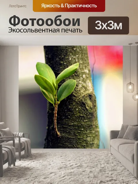 Фотообои Листья