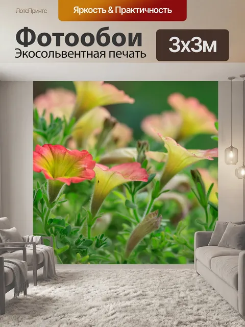 Фотообои Балконные цветы после дождя