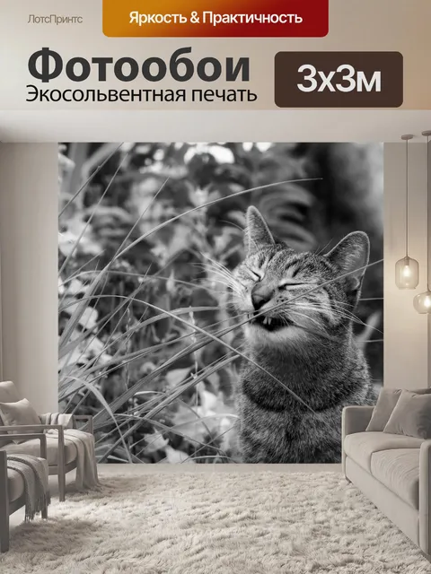 Фотообои Кошка