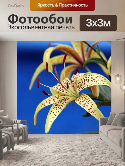 Фотообои Линия