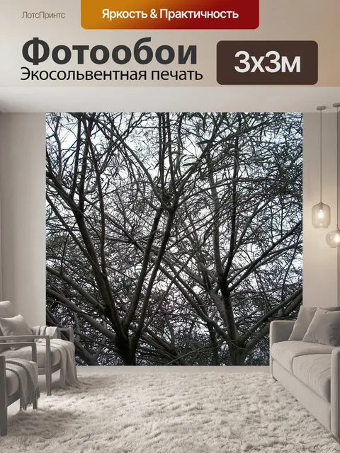 Фотообои Дерево