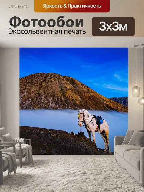 Фотообои Лошадь