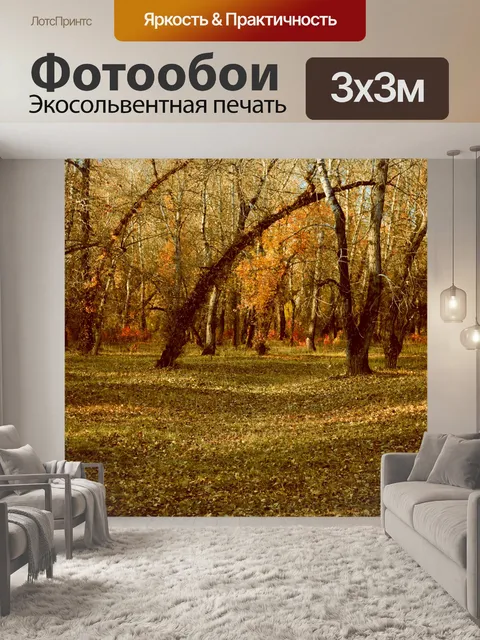 Фотообои Поляна в лесу