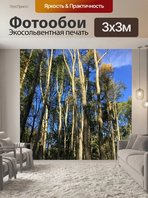 Фотообои Деревья