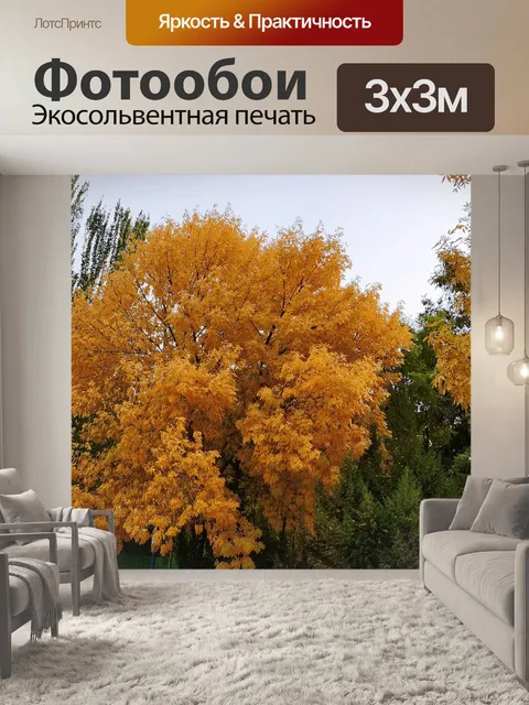 Фотообои Китай