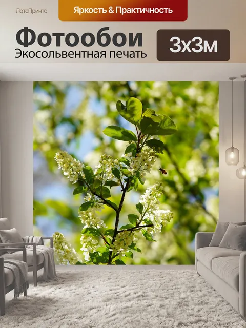 Фотообои Цветок