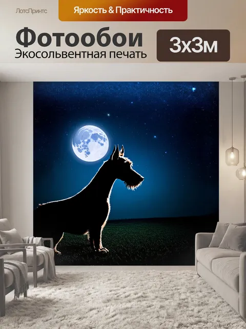 Фотообои ирландский терьер, наблюдающий за ночным небом, заполненным яркими звездами и полной луной