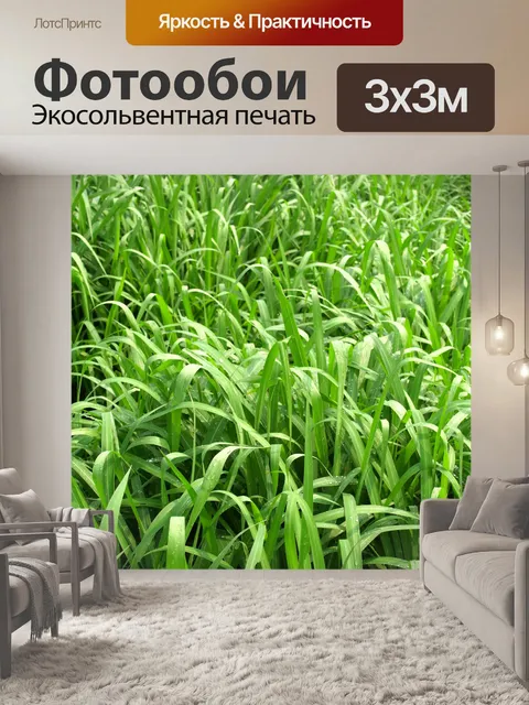Фотообои Капля воды на листе