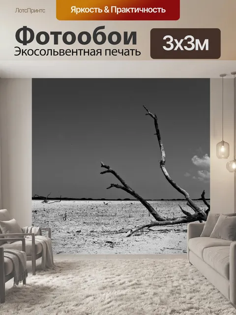 Фотообои Черный и белый