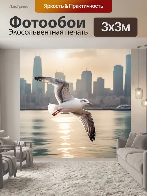 Фотообои чайка, вода, город
