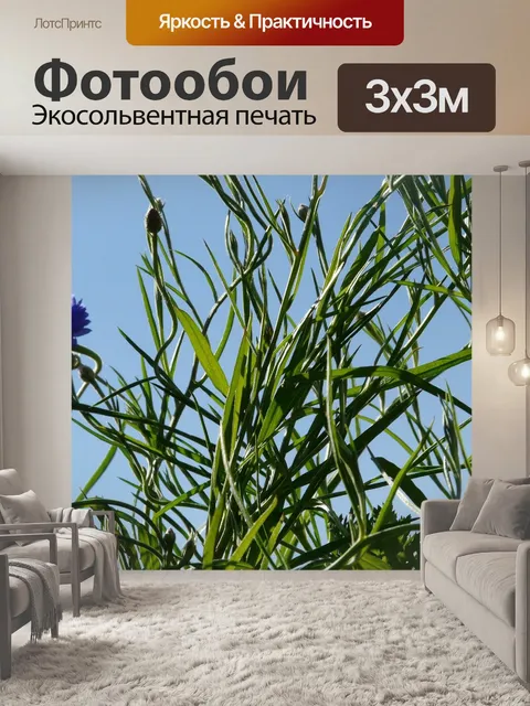 Фотообои Васильковый
