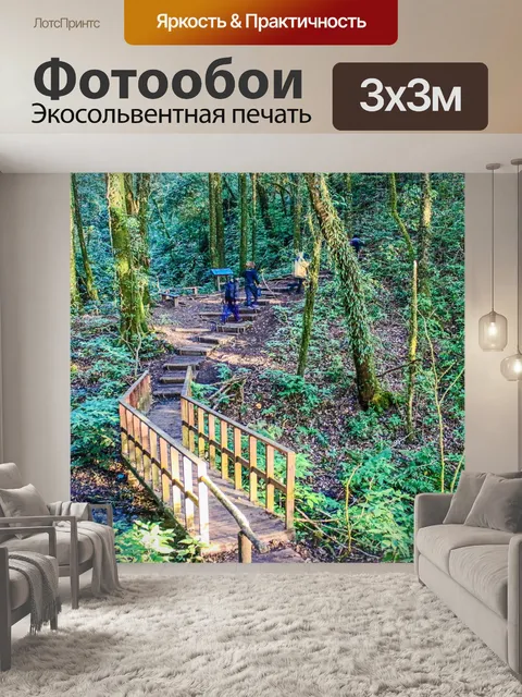 Фотообои Тропический лес в Дои Интанон, Чиангмай