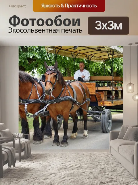 Фотообои Перевозка