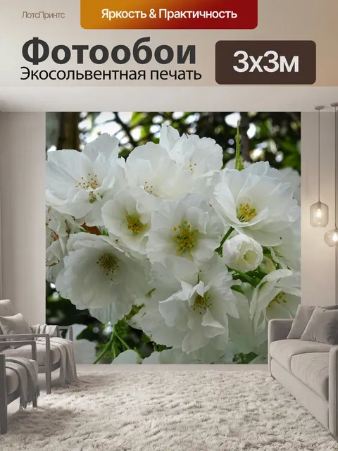 Фотообои Белые цветы вишни Почки