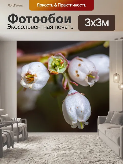 Фотообои Голубики цветы