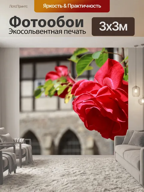Фотообои Роза
