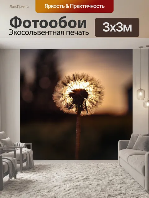 Фотообои Одуванчик