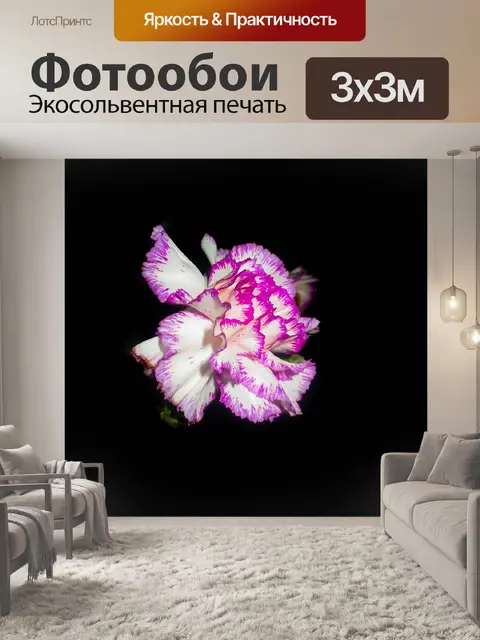 Фотообои Lowkey