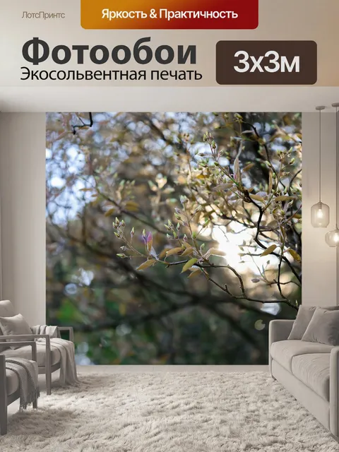 Фотообои Деревья