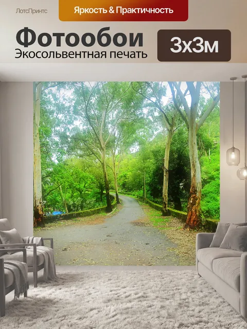 Фотообои Муссон лесной дороге