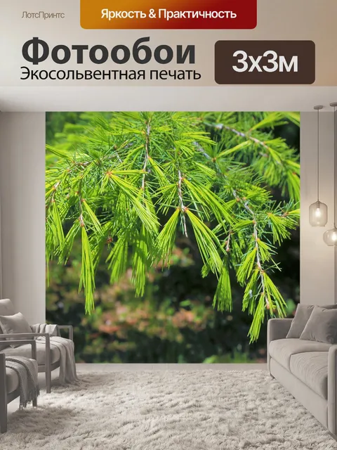 Фотообои Лес