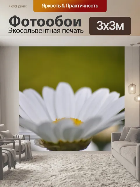 Фотообои Цветы