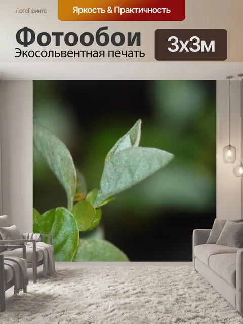 Фотообои Лист